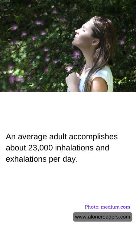 General Knowledge Learning Cards