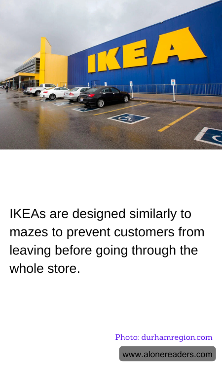 General Knowledge Learning Cards