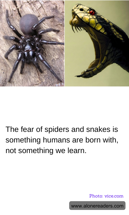 General Knowledge Learning Cards