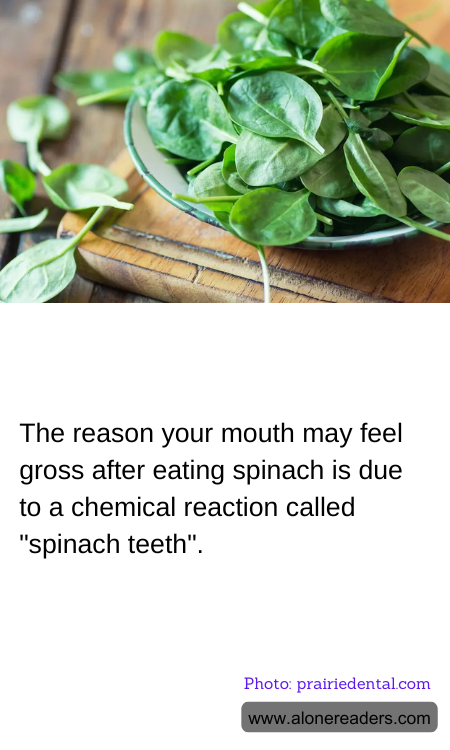 The reason your mouth may feel gross after eating spinach is due to a chemical reaction called "spinach teeth".