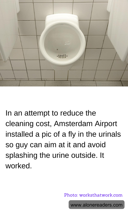 General Knowledge Learning Cards