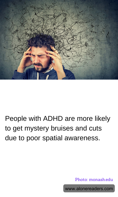 General Knowledge Learning Cards