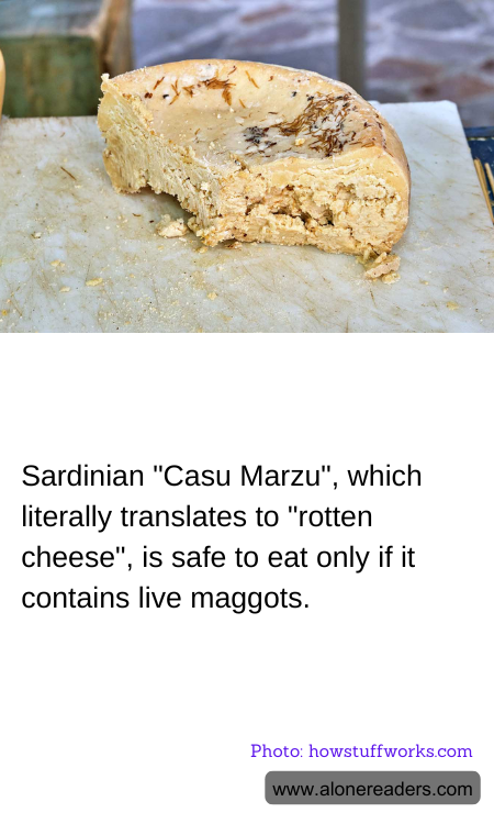 General Knowledge Learning Cards