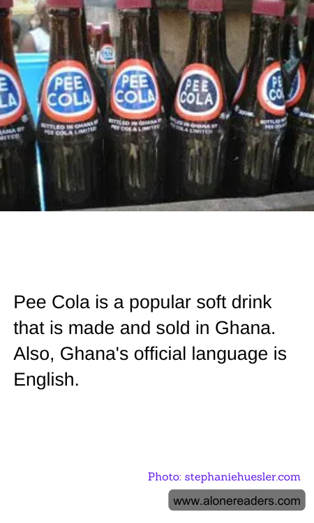 General Knowledge Learning Cards