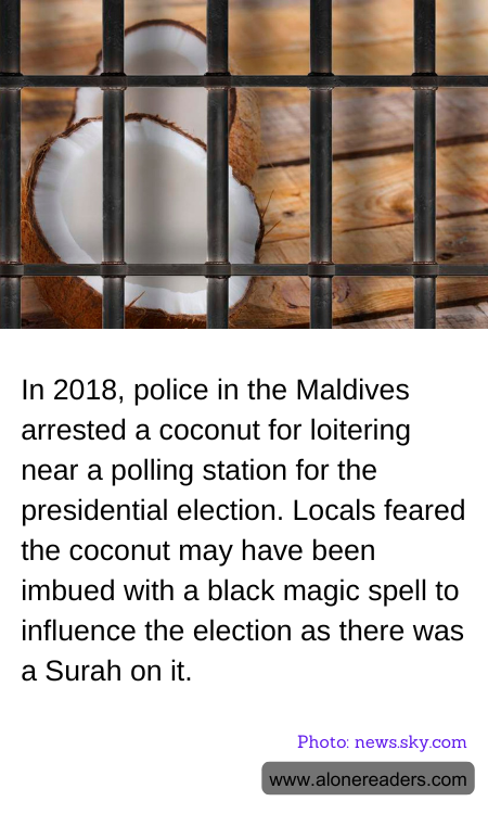 In 2018, police in the Maldives arrested a coconut for loitering near a polling station for the presidential election. Locals feared the coconut may have been imbued with a black magic spell to influence the election as there was a Surah on it.