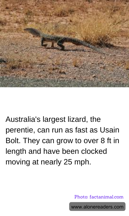 General Knowledge Learning Cards