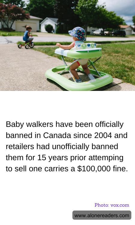 General Knowledge Learning Cards