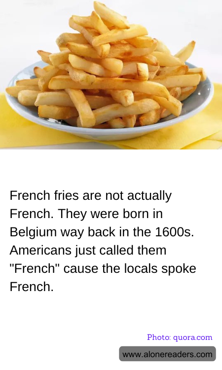 General Knowledge Learning Cards