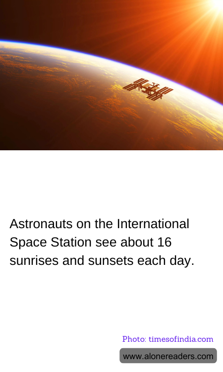 General Knowledge Learning Cards