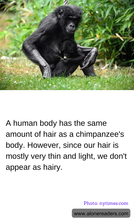 General Knowledge Learning Cards