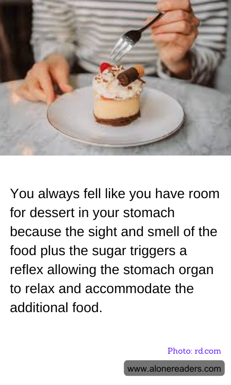 General Knowledge Learning Cards