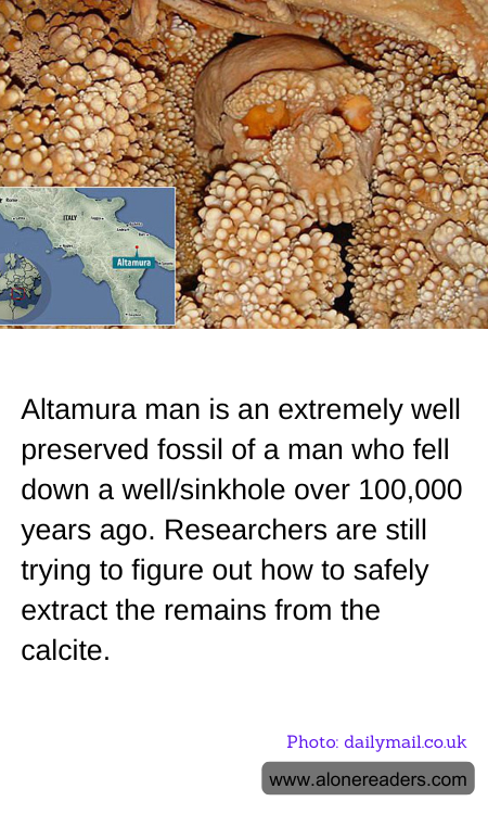 General Knowledge Learning Cards