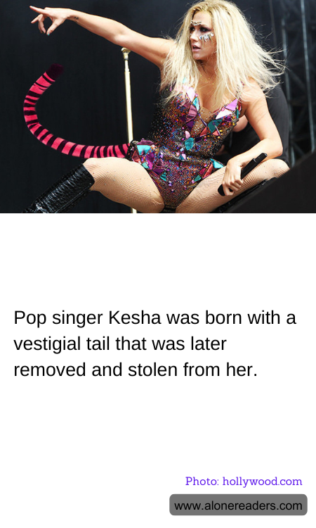 General Knowledge Learning Cards