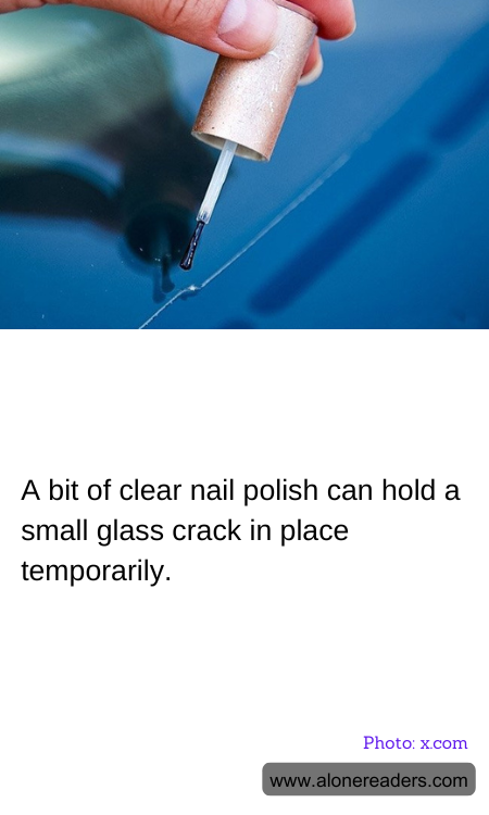 General Knowledge Learning Cards