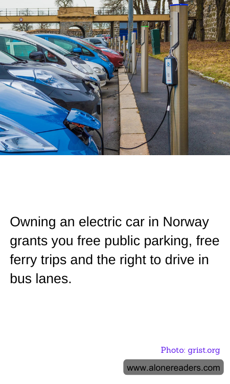 Owning an electric car in Norway grants you free public parking, free ferry trips and the right to drive in bus lanes.