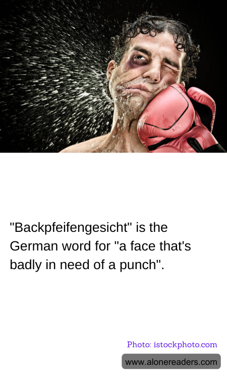 "Backpfeifengesicht" is the German word for "a face that's badly in need of a punch".