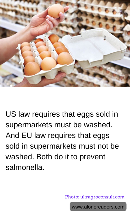 US law requires that eggs sold in supermarkets must be washed. And EU law requires that eggs sold in supermarkets must not be washed. Both do it to prevent salmonella.