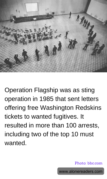 General Knowledge Learning Cards