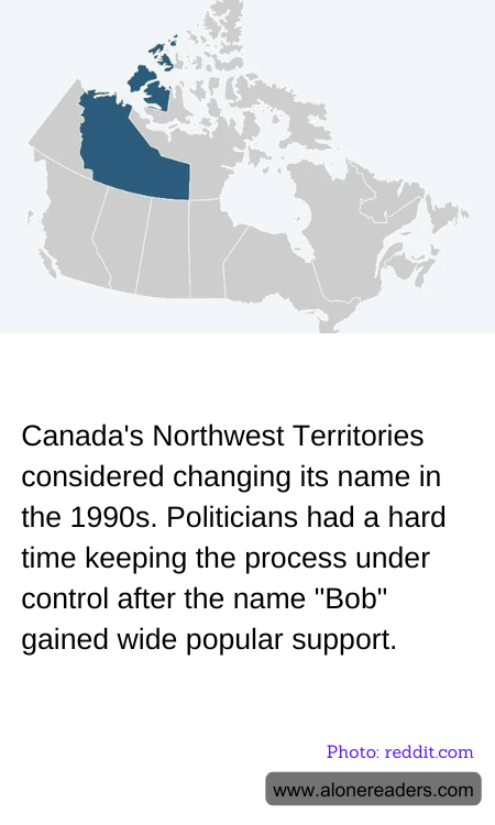 General Knowledge Learning Cards