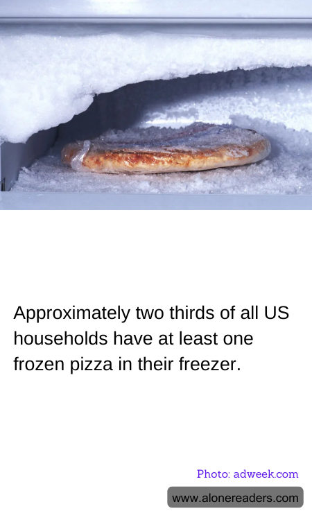 General Knowledge Learning Cards