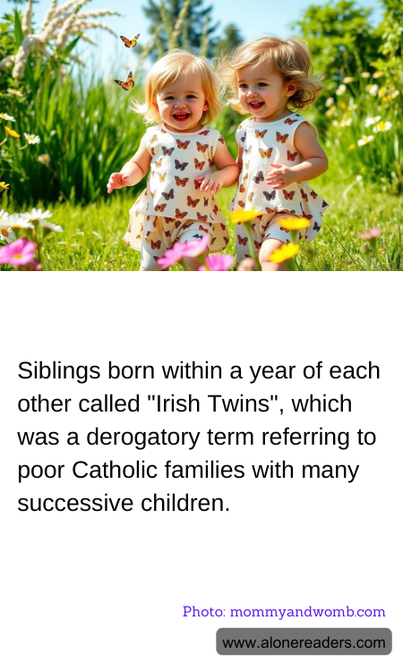 Siblings born within a year of each other called "Irish Twins", which was a derogatory term referring to poor Catholic families with many successive children.