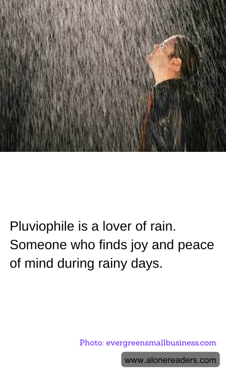 Pluviophile is a lover of rain. Someone who finds joy and peace of mind during rainy days.