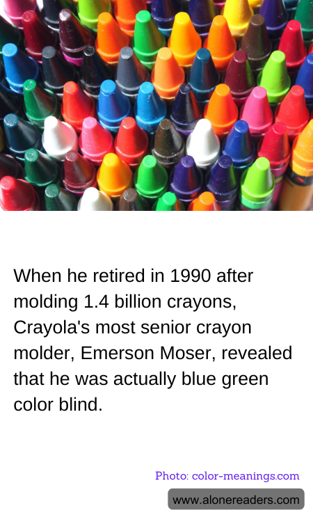 General Knowledge Learning Cards