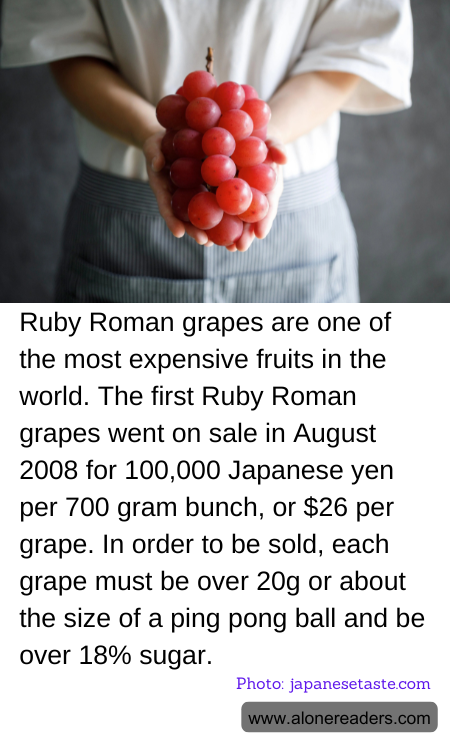 General Knowledge Learning Cards