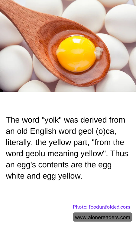 General Knowledge Learning Cards