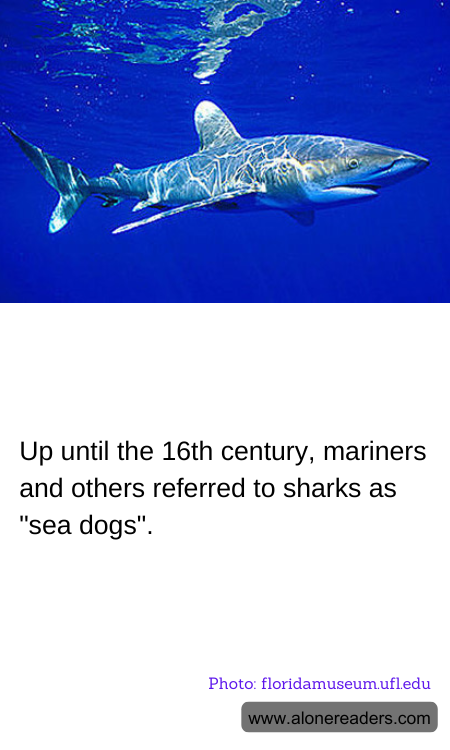 General Knowledge Learning Cards