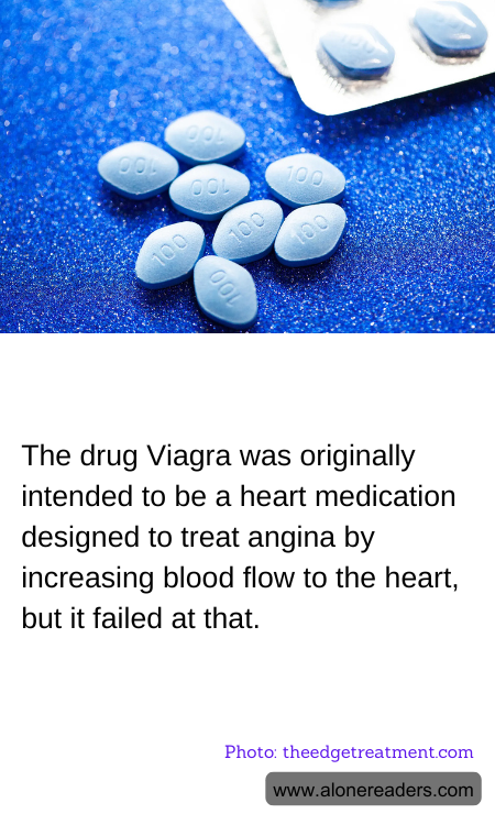 General Knowledge Learning Cards