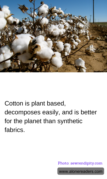 General Knowledge Learning Cards