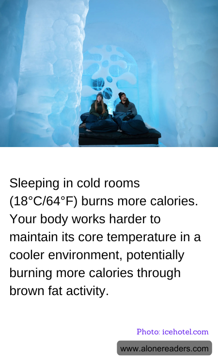 General Knowledge Learning Cards