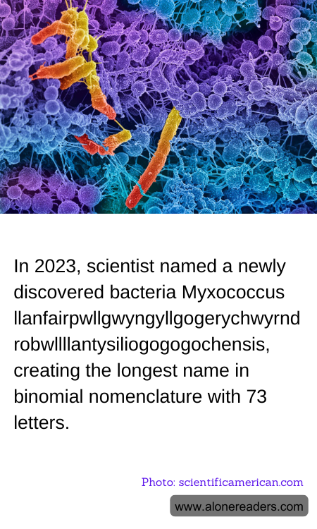 General Knowledge Learning Cards