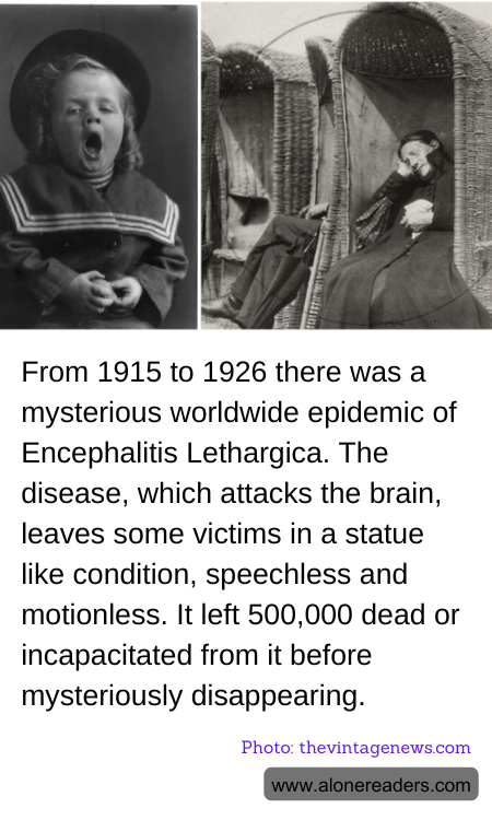 General Knowledge Learning Cards