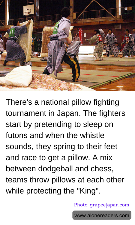 General Knowledge Learning Cards