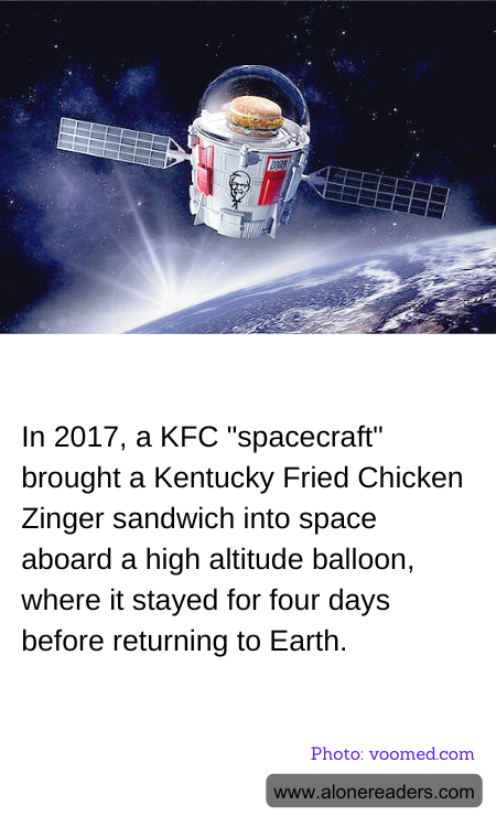 General Knowledge Learning Cards