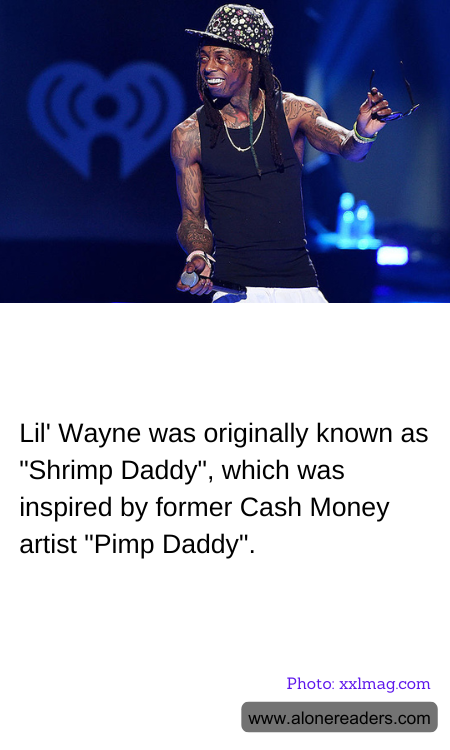 General Knowledge Learning Cards