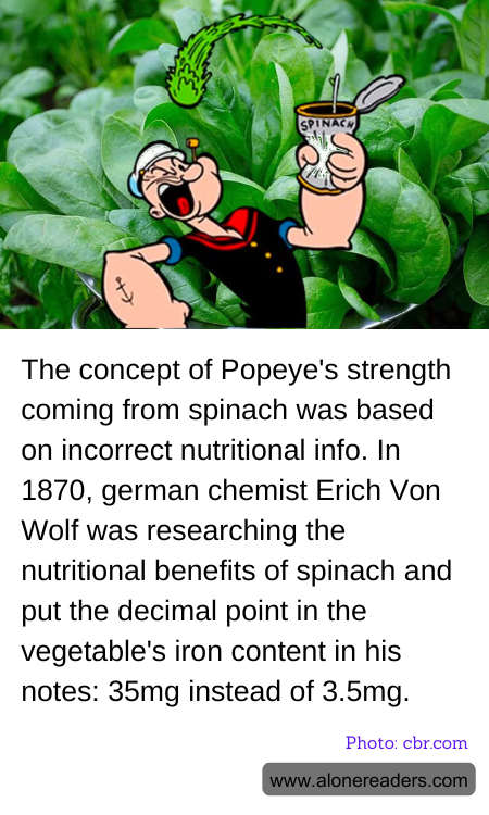 General Knowledge Learning Cards