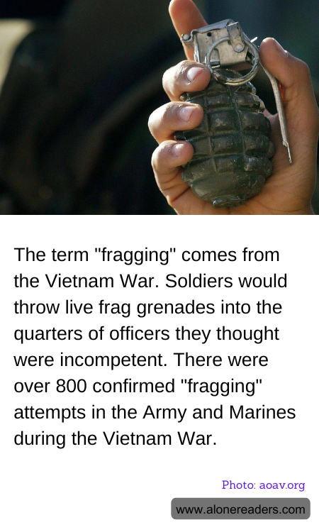 General Knowledge Learning Cards