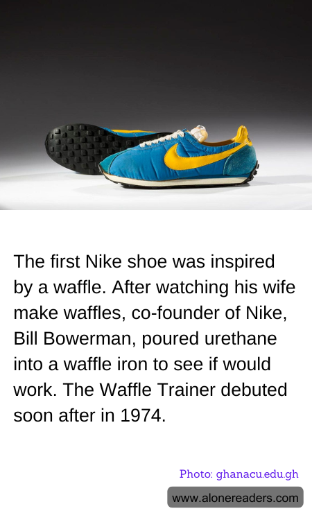 General Knowledge Learning Cards