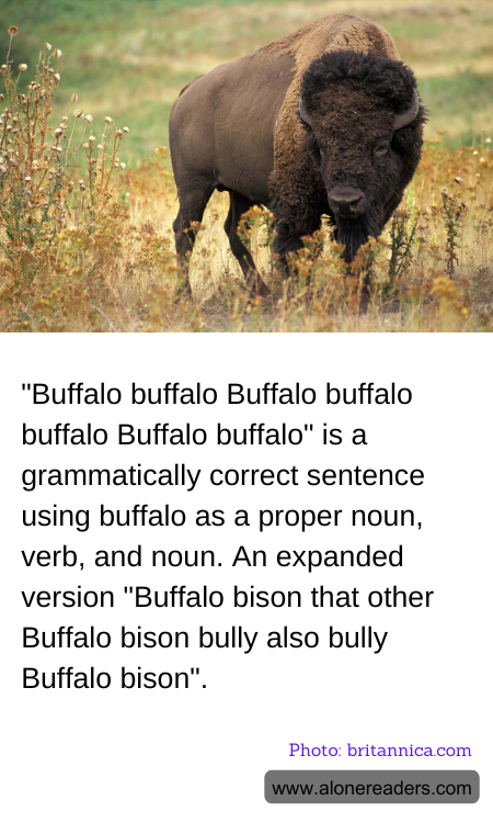 General Knowledge Learning Cards