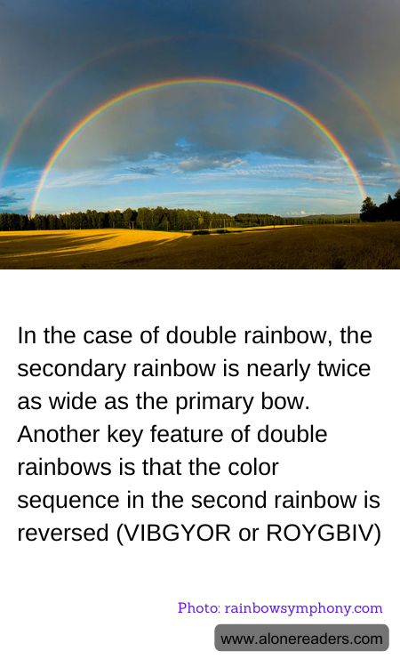 General Knowledge Learning Cards