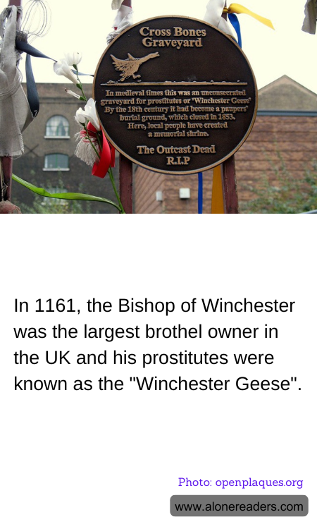 In 1161, the Bishop of Winchester was the largest brothel owner in the UK and his prostitutes were known as the "Winchester Geese".