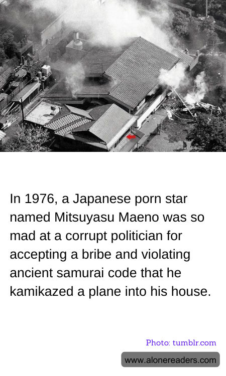 General Knowledge Learning Cards