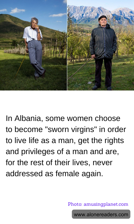 General Knowledge Learning Cards