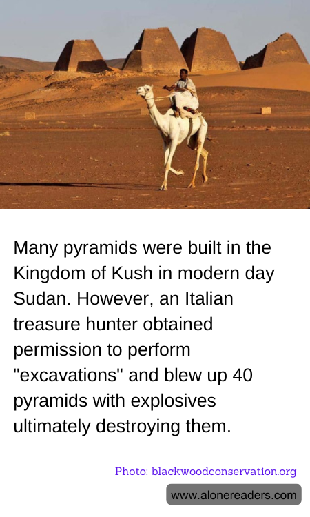 General Knowledge Learning Cards