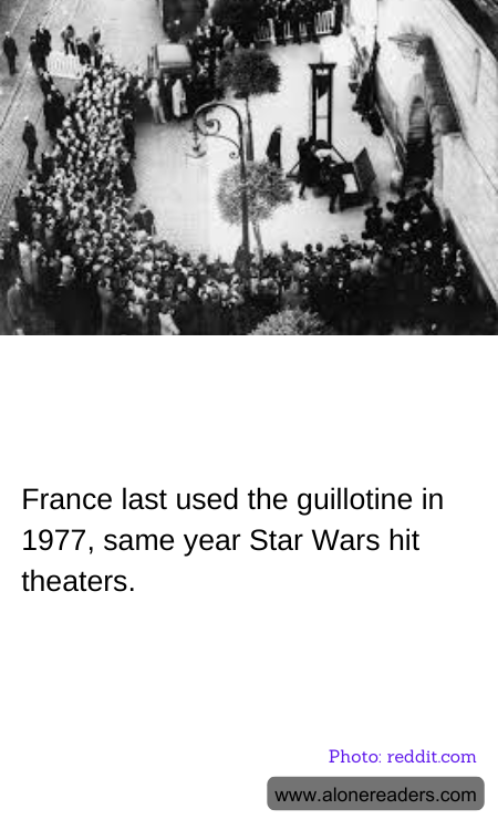 General Knowledge Learning Cards