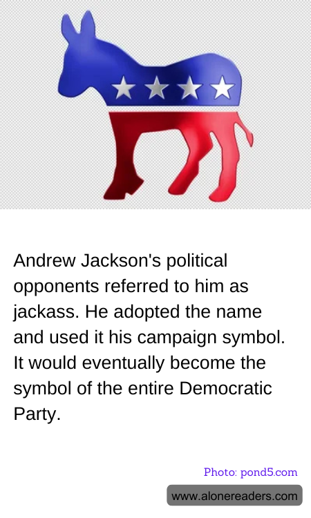 General Knowledge Learning Cards