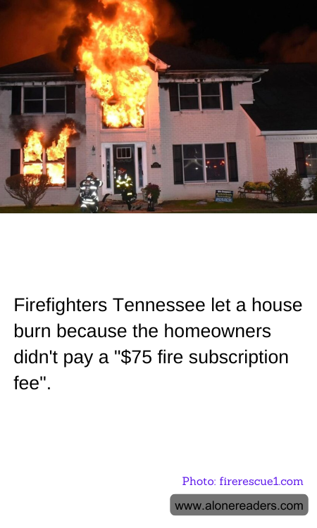 General Knowledge Learning Cards